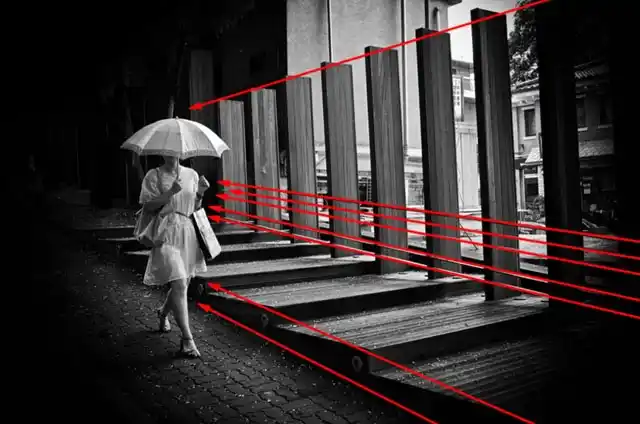 Composición Fotográfica